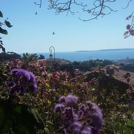 아파트 4 Pers Coeur Du Lavandou 5mn A Pied Des Plages *