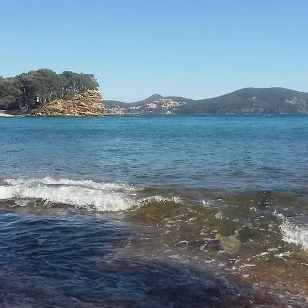 아파트 4 Pers Coeur Du Lavandou 5mn A Pied Des Plages